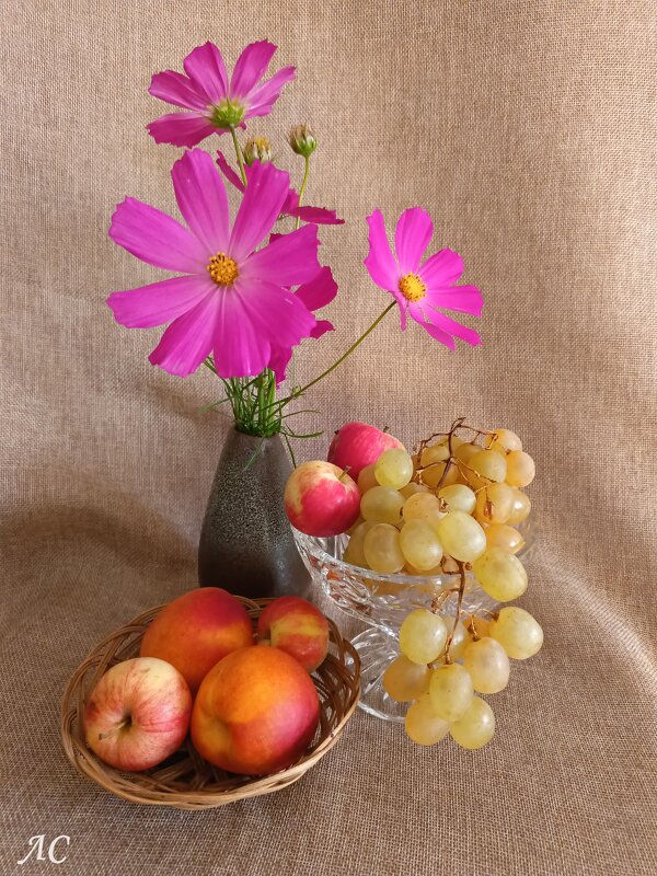 Этюд - Любовь Сахарова