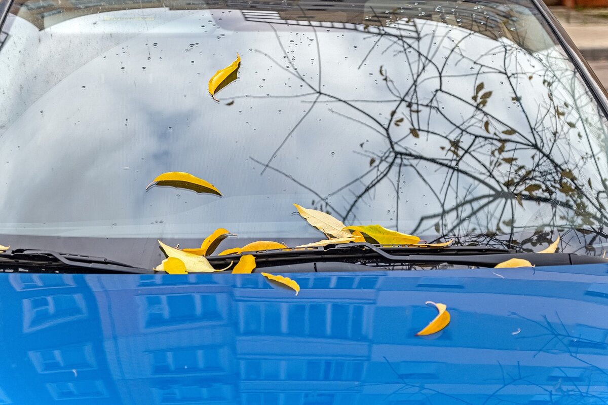 Осеннее - Валерий Иванович