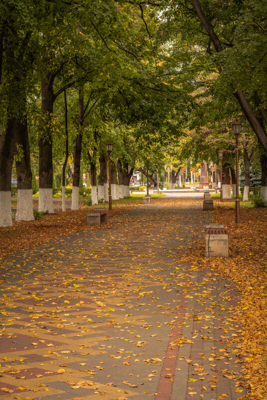 Армавир в октябре - Игорь Сикорский