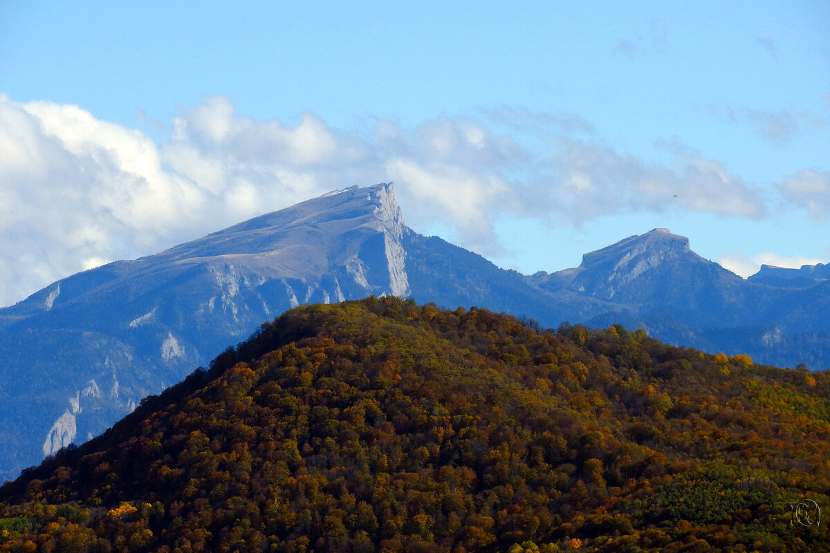 Тхач - Юрий Словецкий