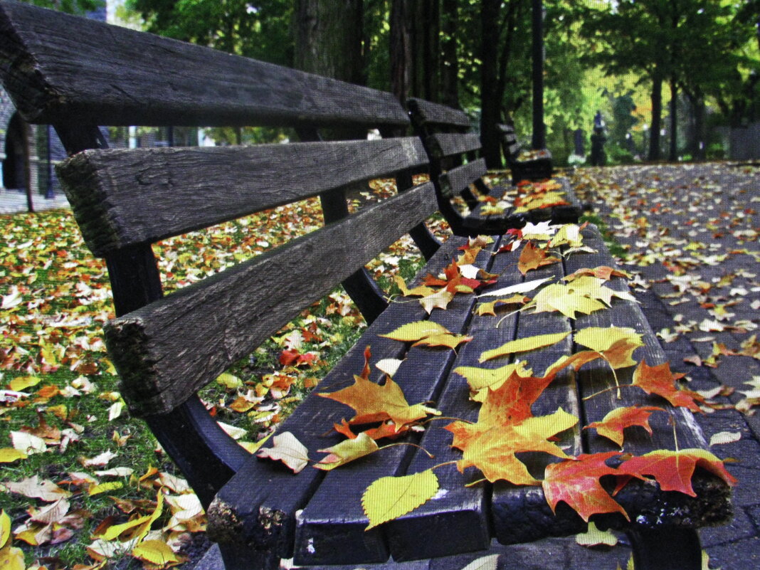 Всё засыпало - Людмила Смородинская
