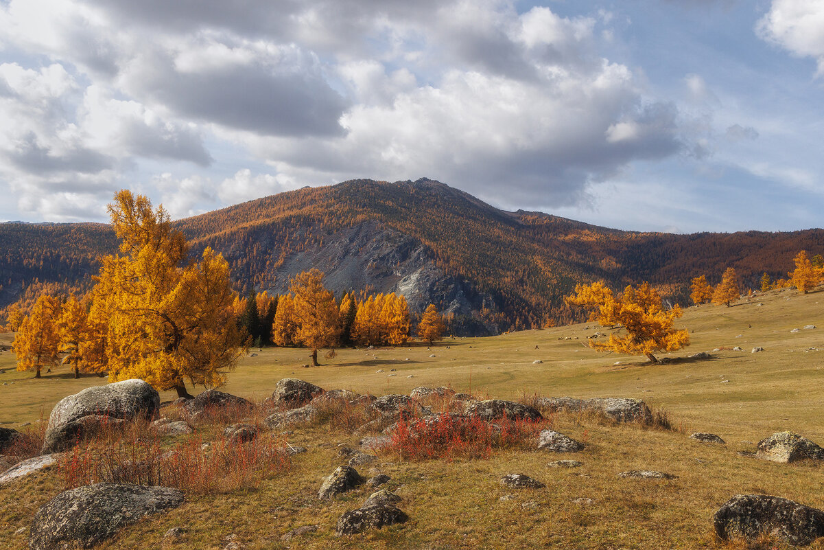 Золотой Алтай - Sergey38 