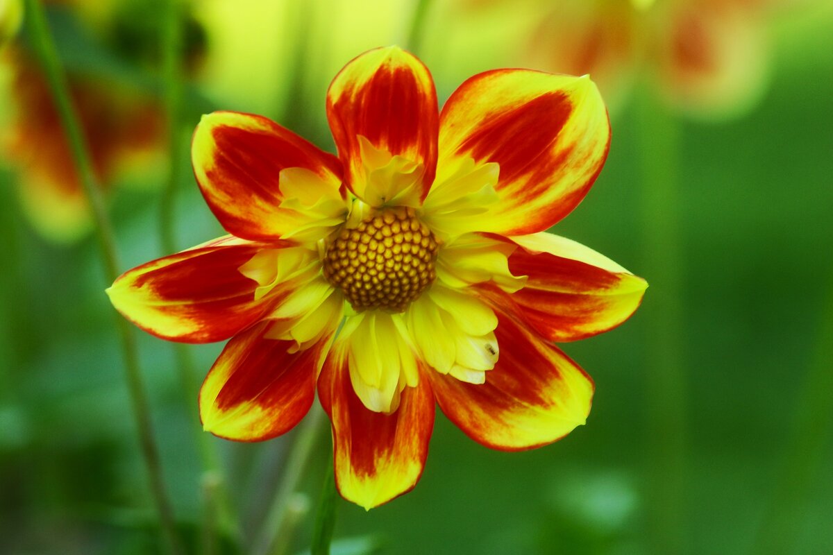 Октябрьское солнышко - Юрий. Шмаков