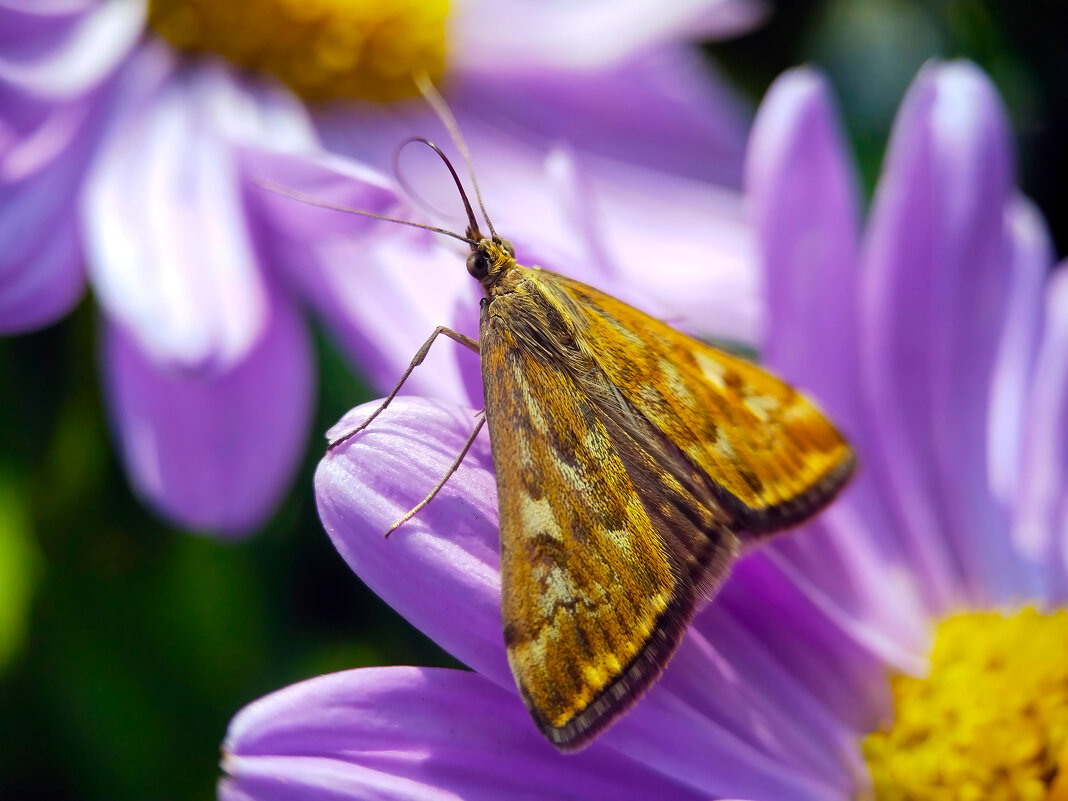 *   *   * - Уже не важно 