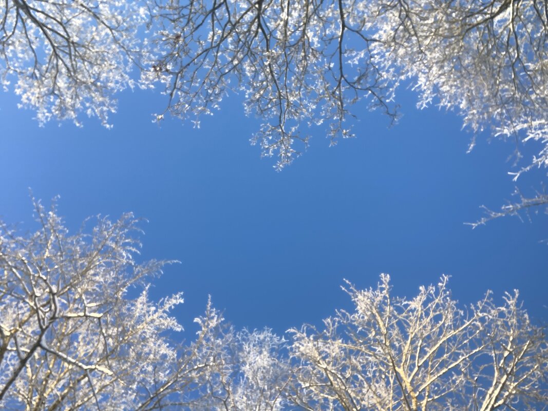 Небесная река - Ольга Савельева 