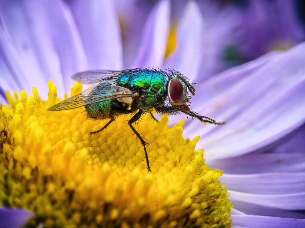 *   *   * - Уже не важно 