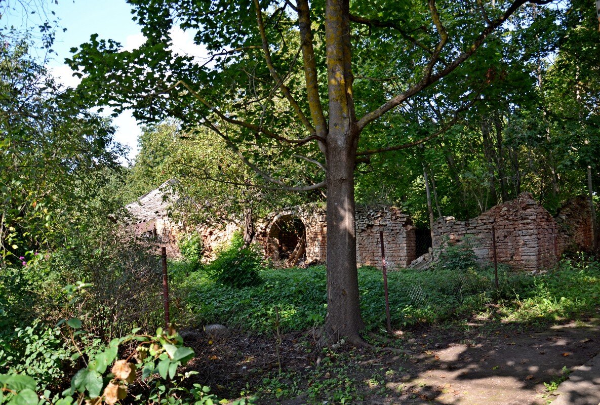 Изборск - Виктор Осипчук