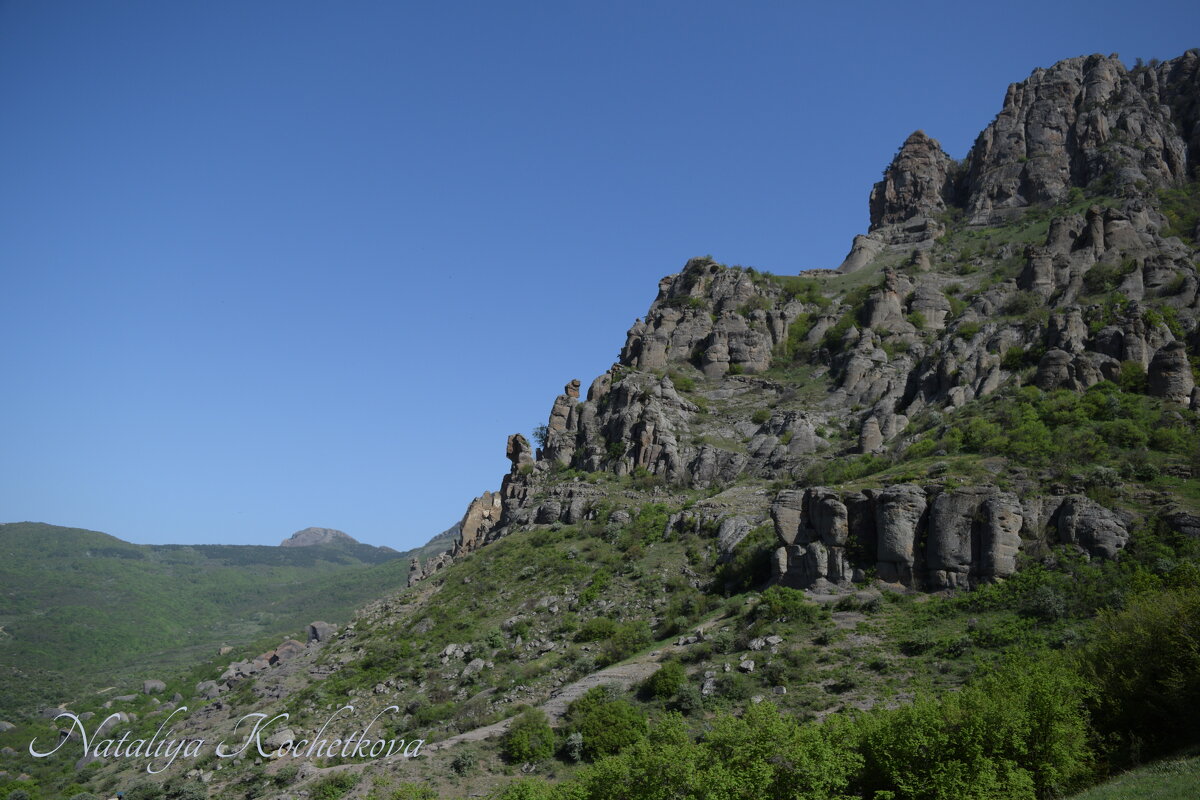 Природа Крыма - Amazing Cosmea