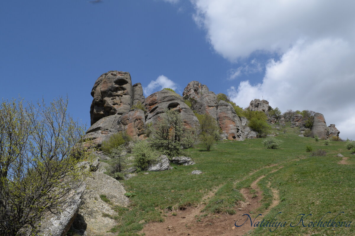 Природа Крыма - Amazing Cosmea