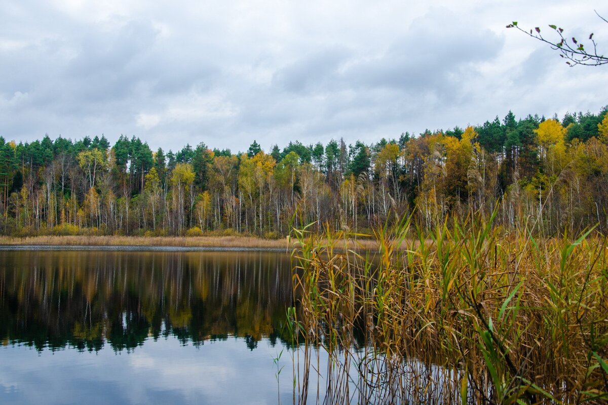 ___ - Галина Ложечникова