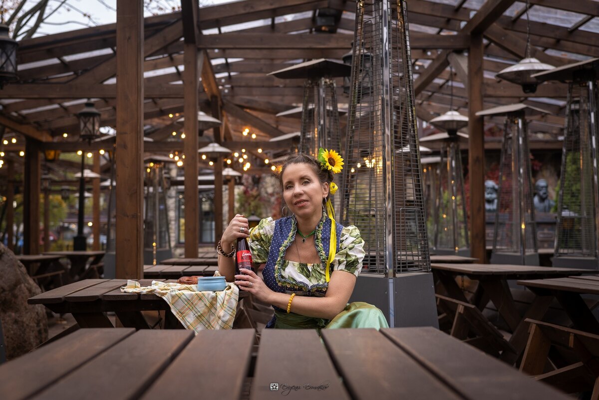 Хозяйка заведенения - Евгений Ермаков