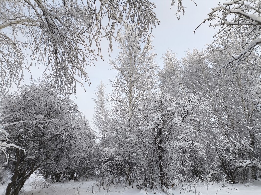 Зима - Anna Ivanova