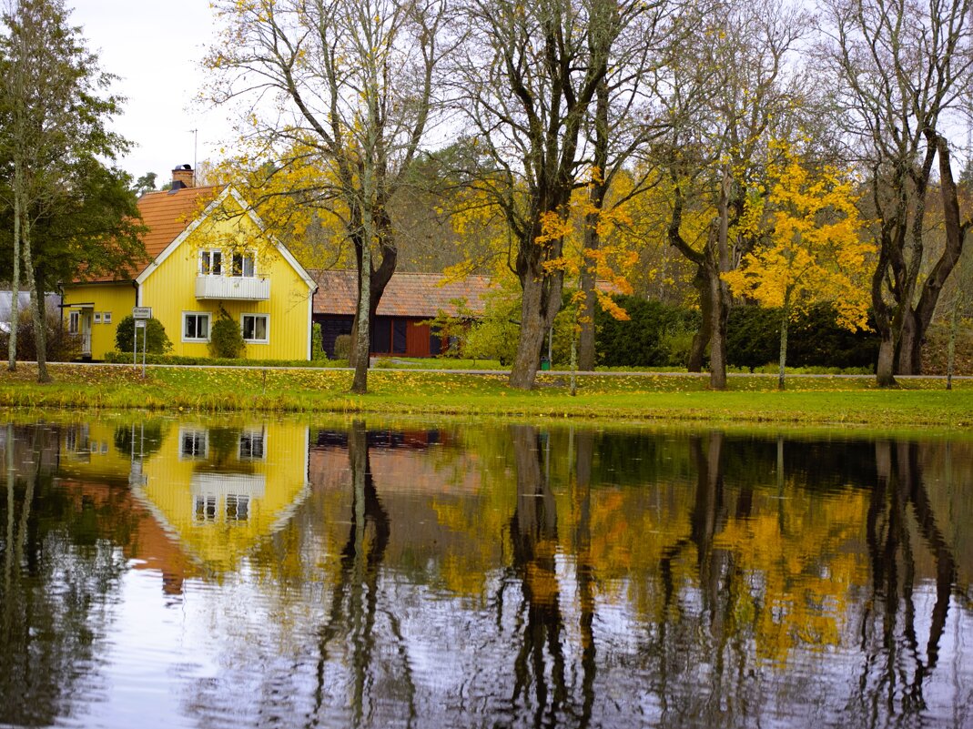 Gimo - liudmila drake