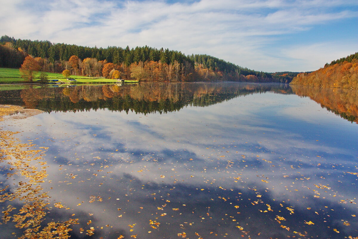 Вдали на дальнем берегу, березки собрались в кругу - Ирэн 