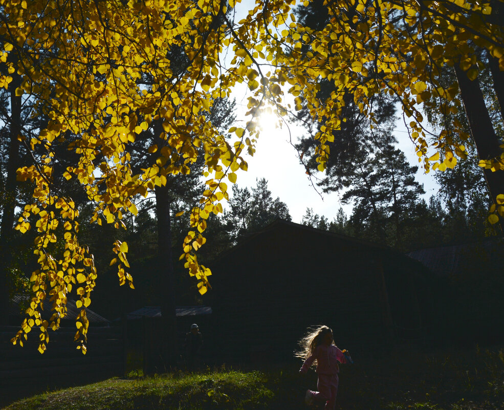 * - Наталья Покацкая