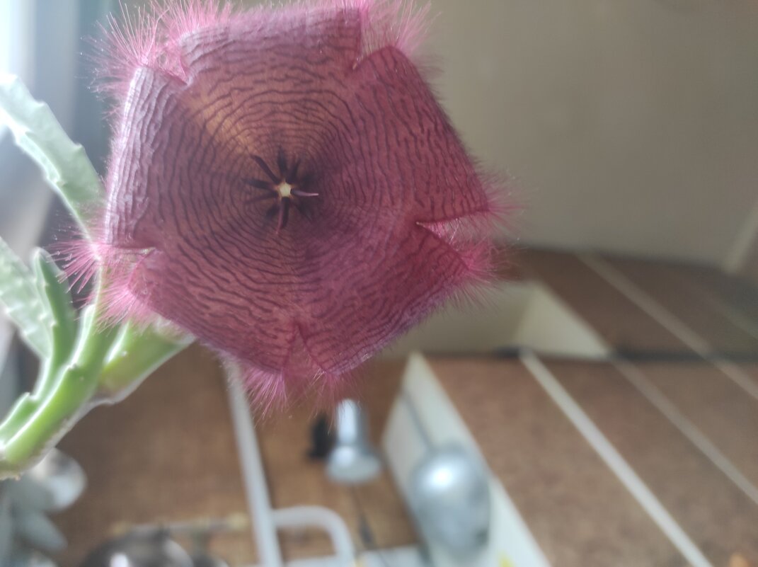 Такой вот был.. ) - Игорь Ч. Такой вот был.. ) - Игорь Ч.