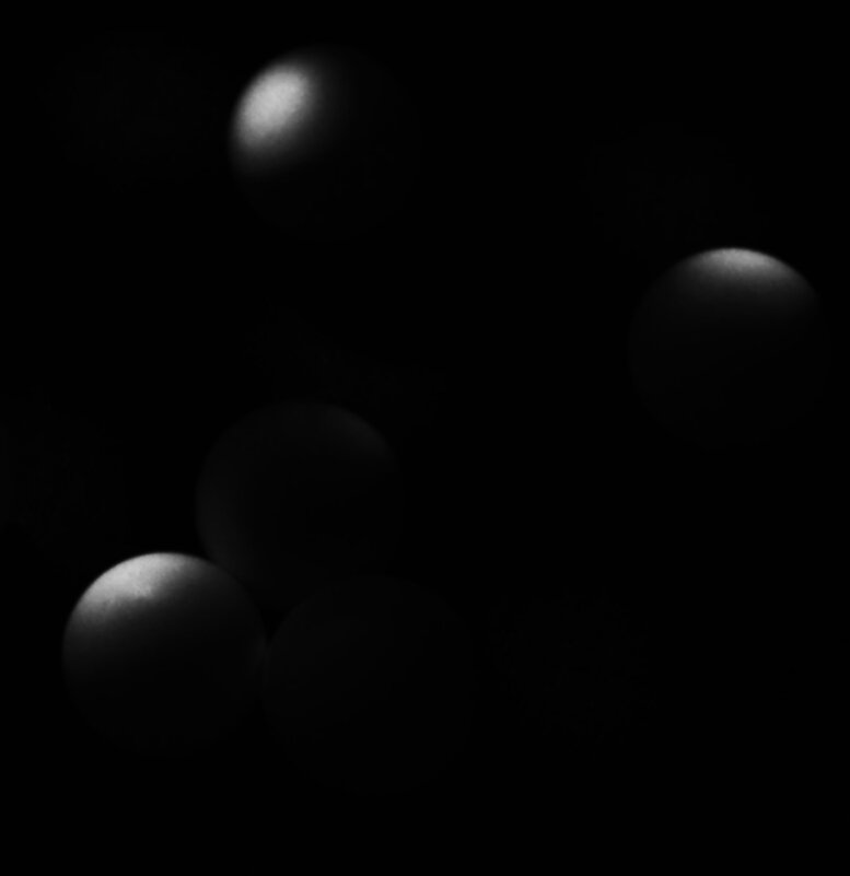 * - Василий Палий