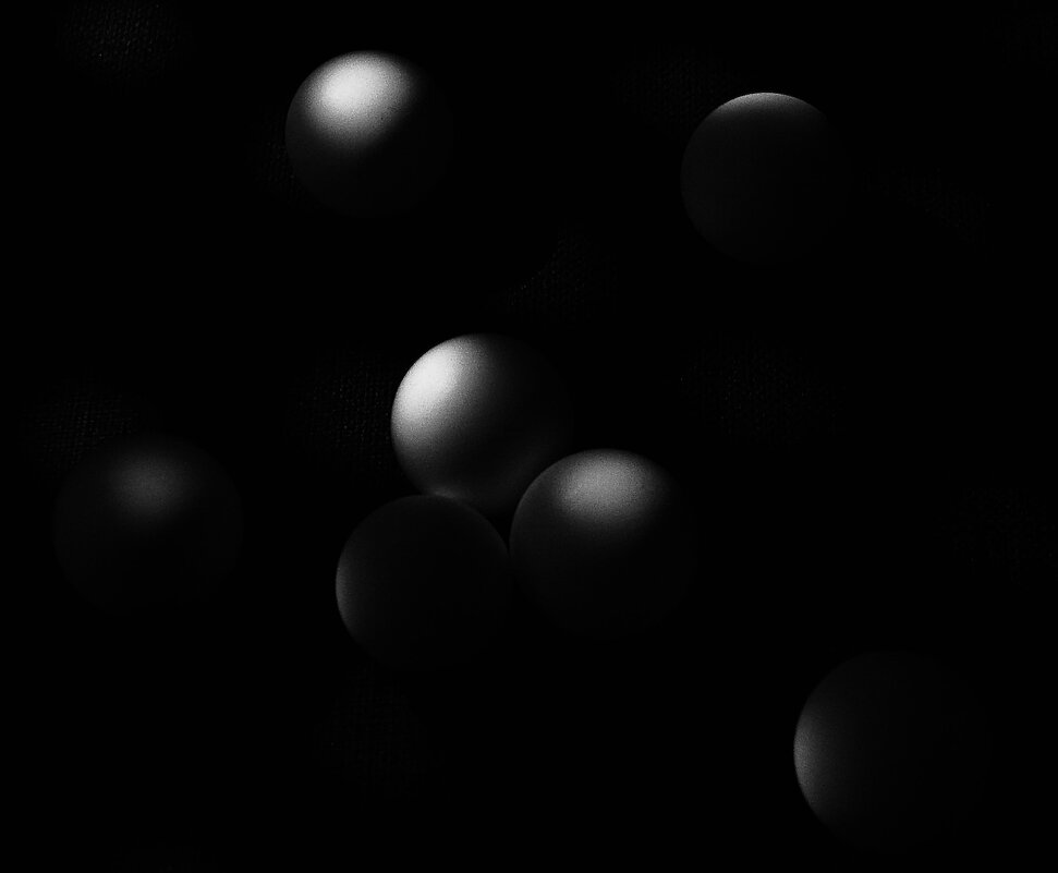 * - Василий Палий