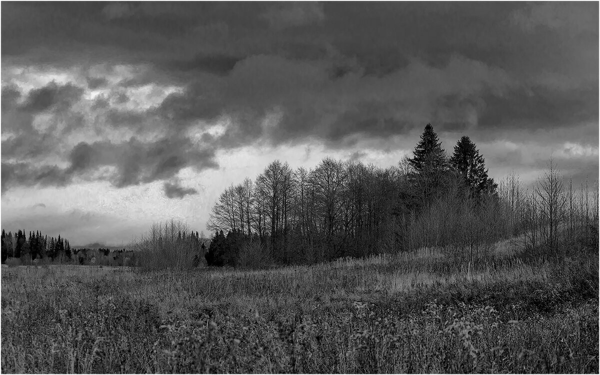 " ... Нет уж дней тех светлых боле .. " - Валентин Котляров