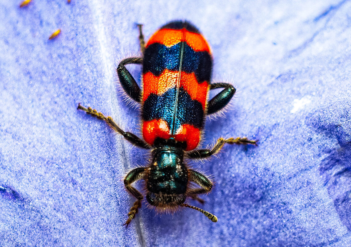 ** - Владимир Иванович