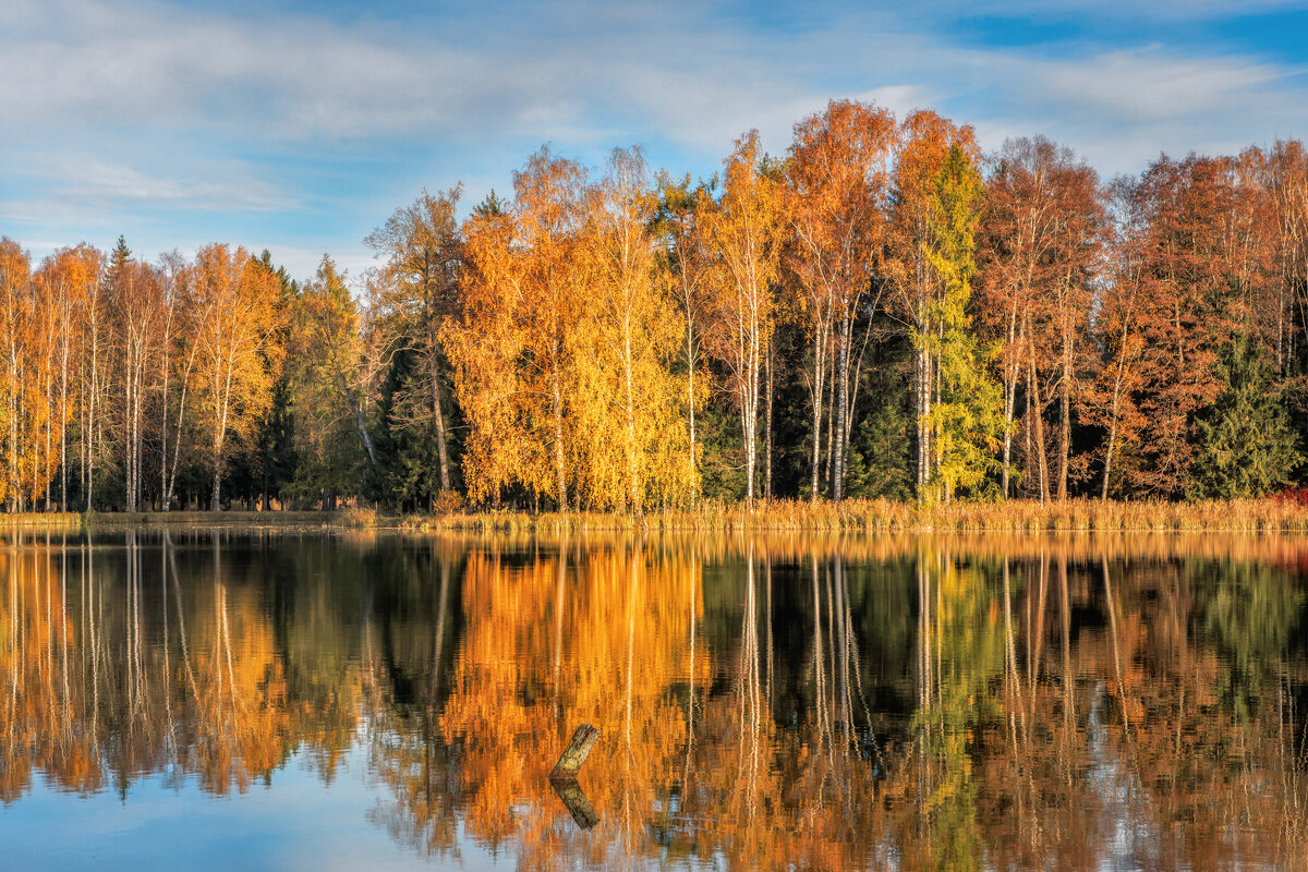 Осень - Владимир Колесников