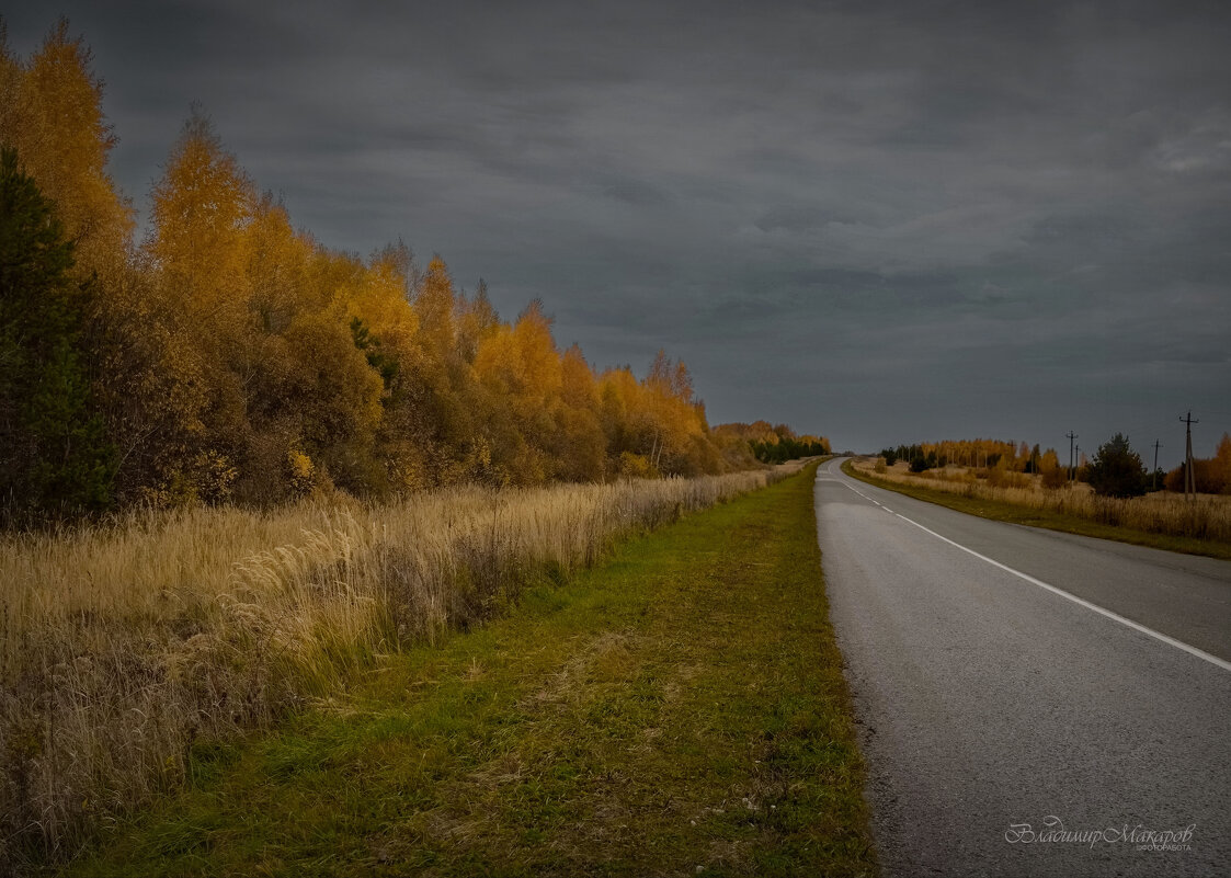 "Осень продолжается"© - Владимир Макаров