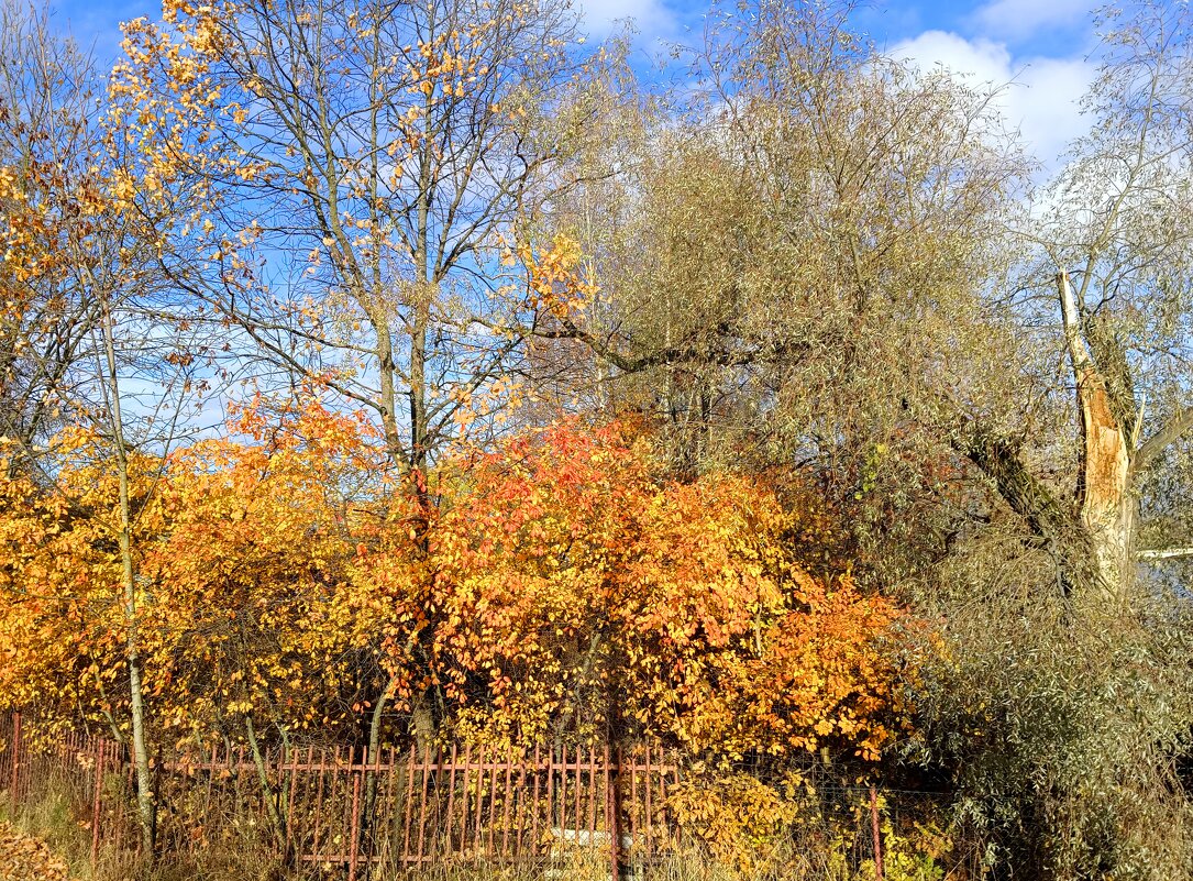 Уходящий октябрь - Мария Васильева