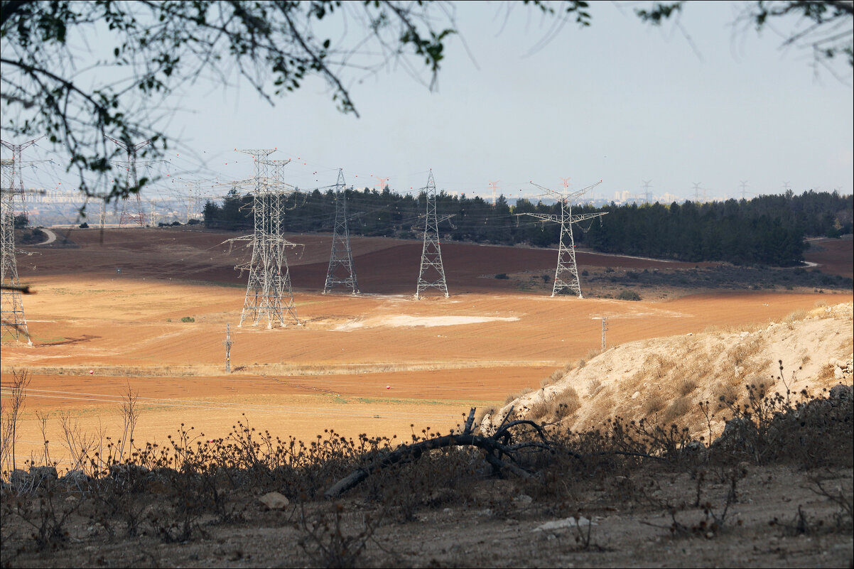 Наступила осень... - Валерий Готлиб