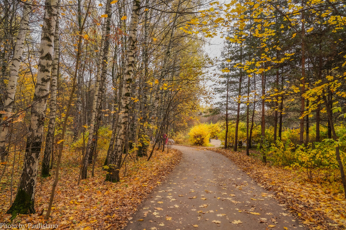 В осеннем парке... - Владимир Жданов В осеннем парке... - Владимир Жданов