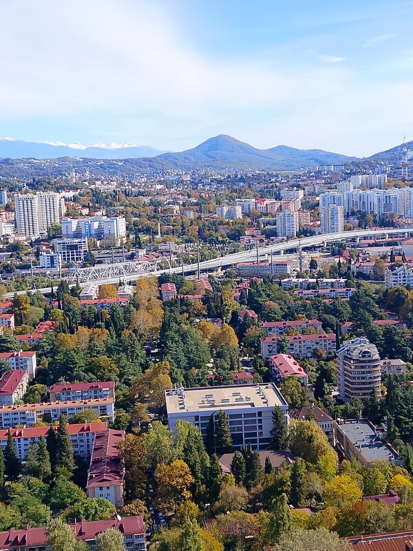 ПАНОРАМА СОЧИ - Tata Wolf