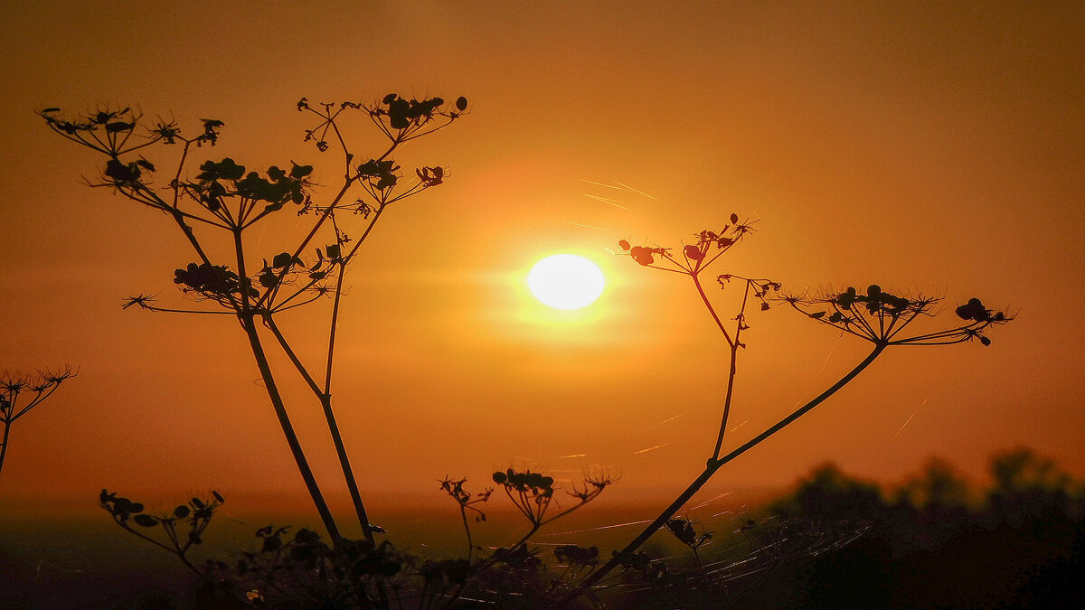 Закат - Владимир Кириченко