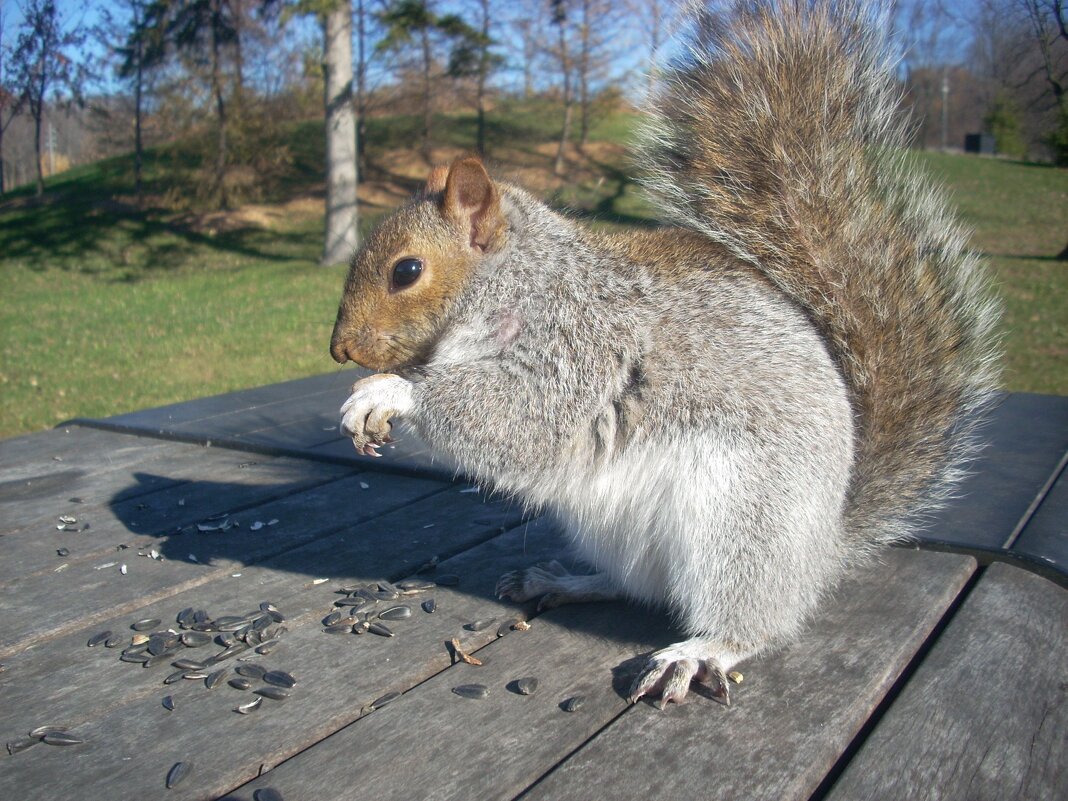 "Впереди холода , впереди голодать..." :) - Валерий Кокорев