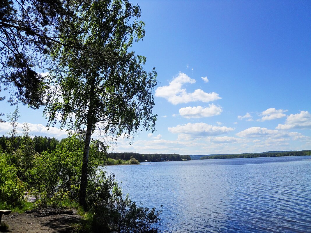 Летний пейзаж - Александр Щеклеин Летний пейзаж - Александр Щеклеин