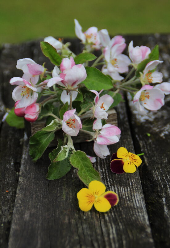 Майское :) - Татьян@ Ивановна Майское :) - Татьян@ Ивановна