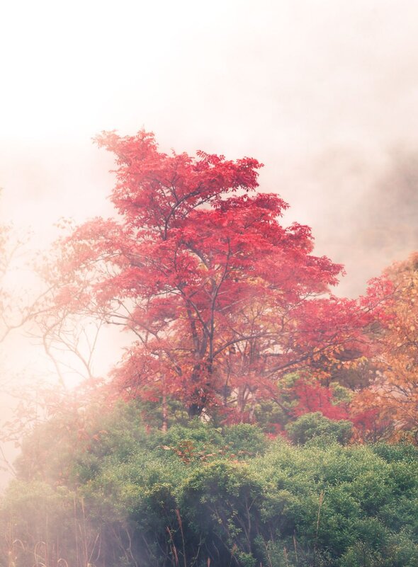 Осень - Ксения N