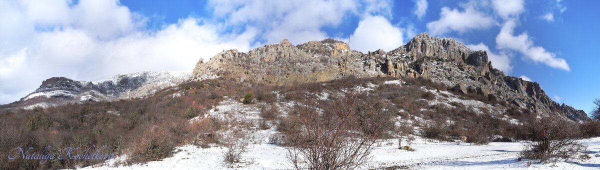 Природа Крыма - Amazing Cosmea