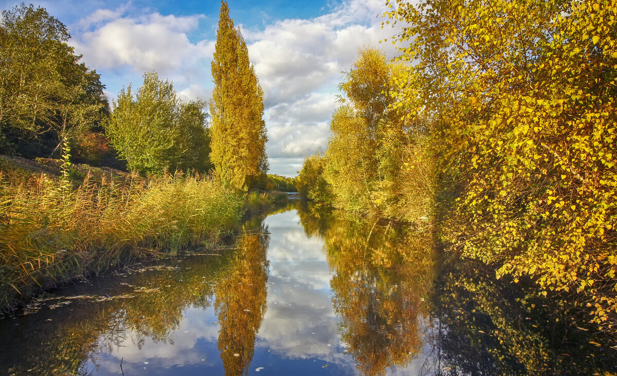****** - Андроник Александр 