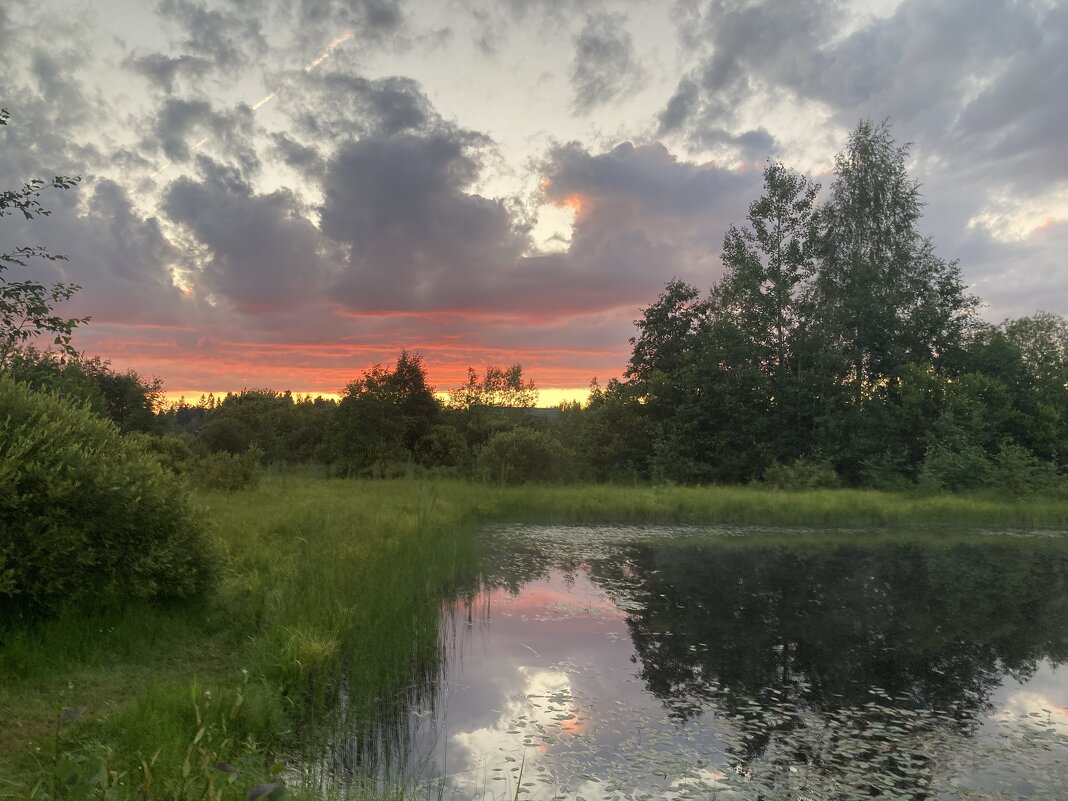 На пруду - Ольга Савельева 