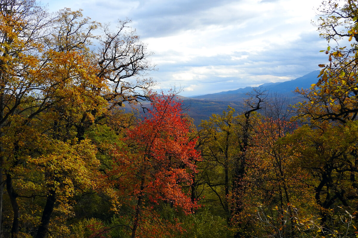 осень - Юрий Словецкий