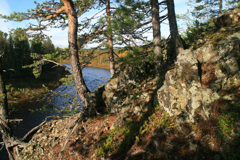 Прогулки по осени - Галина Ильясова