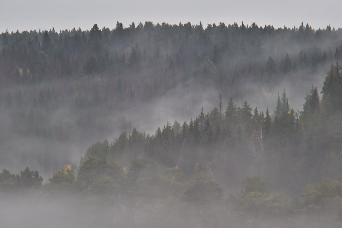Туманы октября - Роман Пацкевич