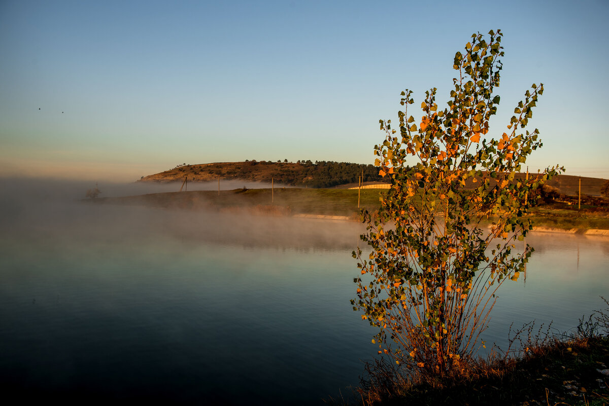 Туман. - Сергей Воротников