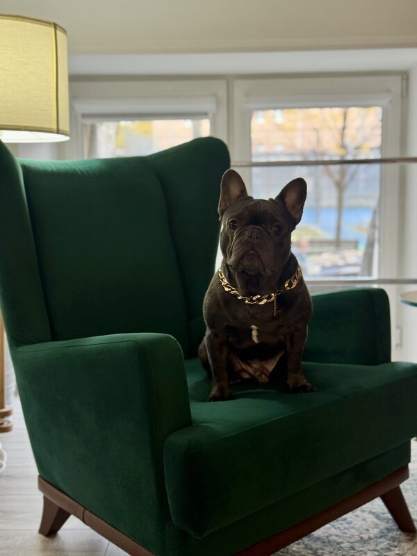 Мальчик ) - Анна Камс