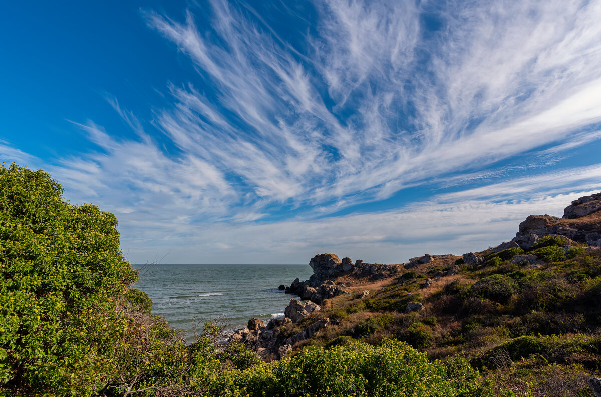 *** - Виталий Емельянов