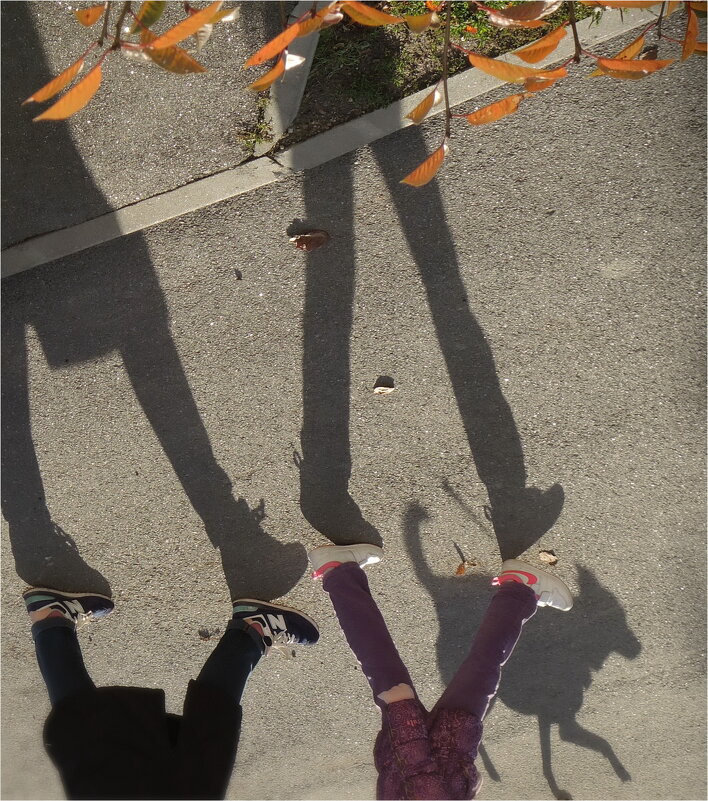 пёс их знает - sv.kaschuk 