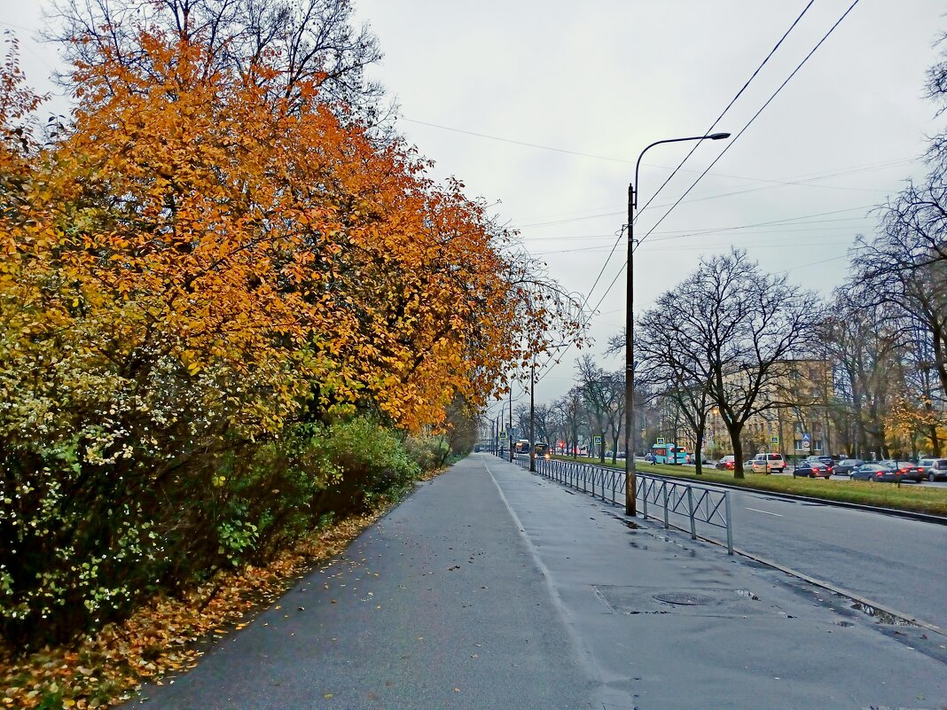 "И небо словно серая скала..." - Лия ☼ "И небо словно серая скала..." - Лия ☼