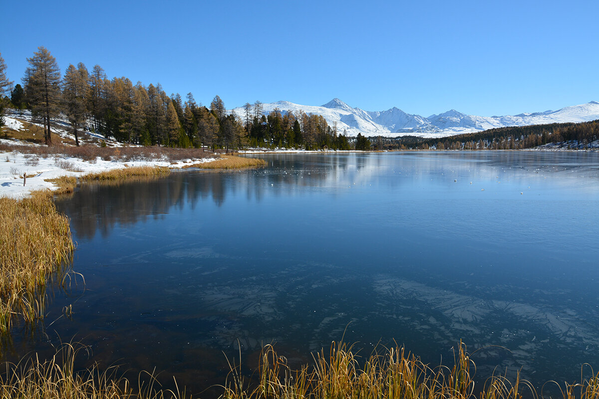 Киделю - Валерий Медведев