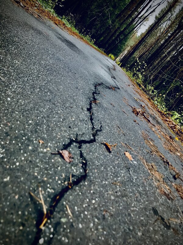 Главное- выбрать направление!) - Любовь 