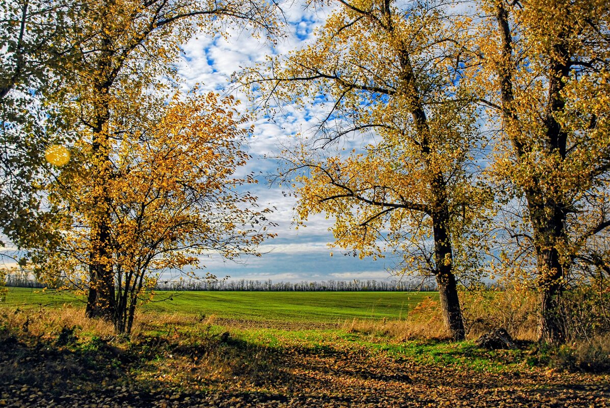 Конец октября. - Владимир 