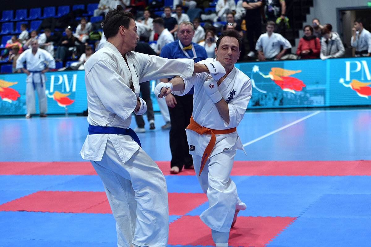 Мастера на татами - Александр Гриднев